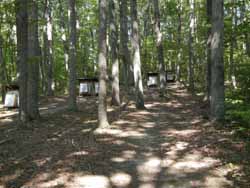 Archery Range