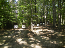 Archery Range